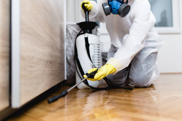 Trusted Town Creek, AL Pest Control Experts