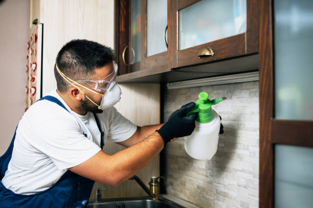 Best Affordable Pest Control Services  in Town Creek, AL