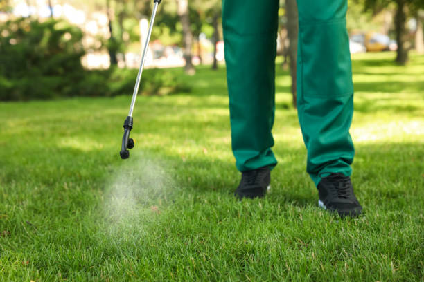 Best Emergency Pest Control  in Town Creek, AL