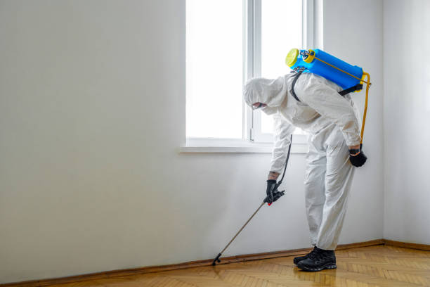 Best Termite Control Services  in Town Creek, AL