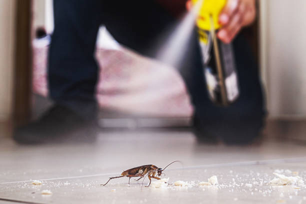 Best Commercial Pest Control Services  in Town Creek, AL