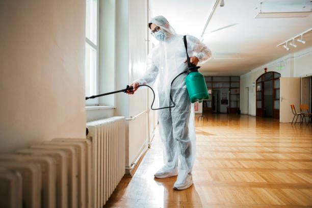 Best Flea Control Services  in Town Creek, AL